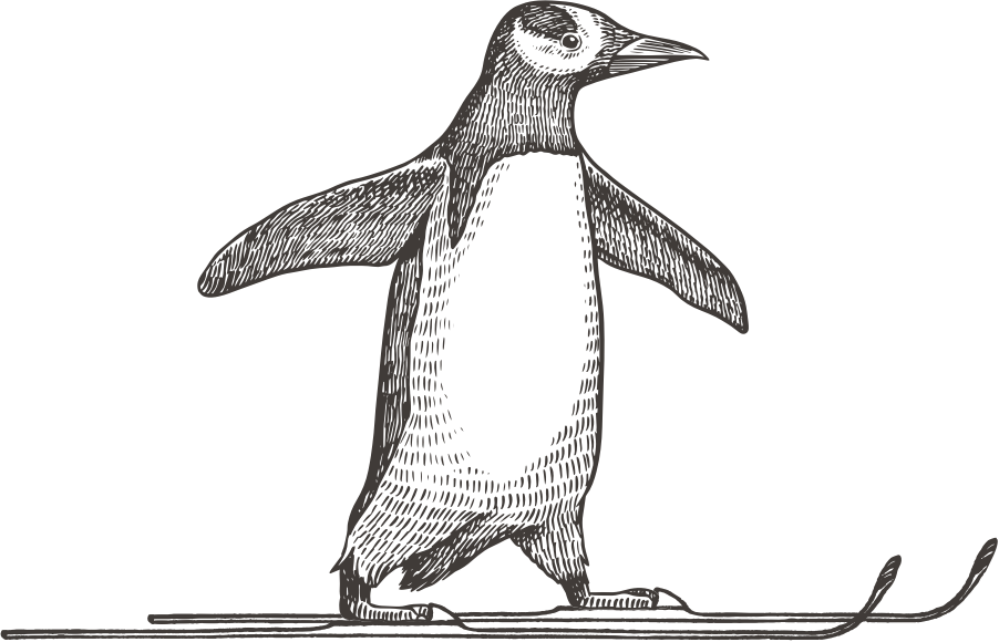 Penguin decoration